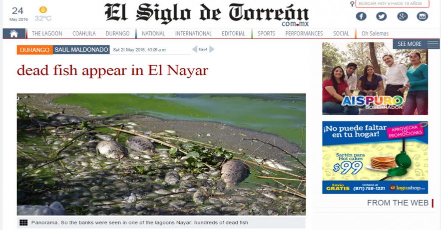 Dead fish appear in El Nayar - Mikdash HaMoshiach - Temple of the Messiah